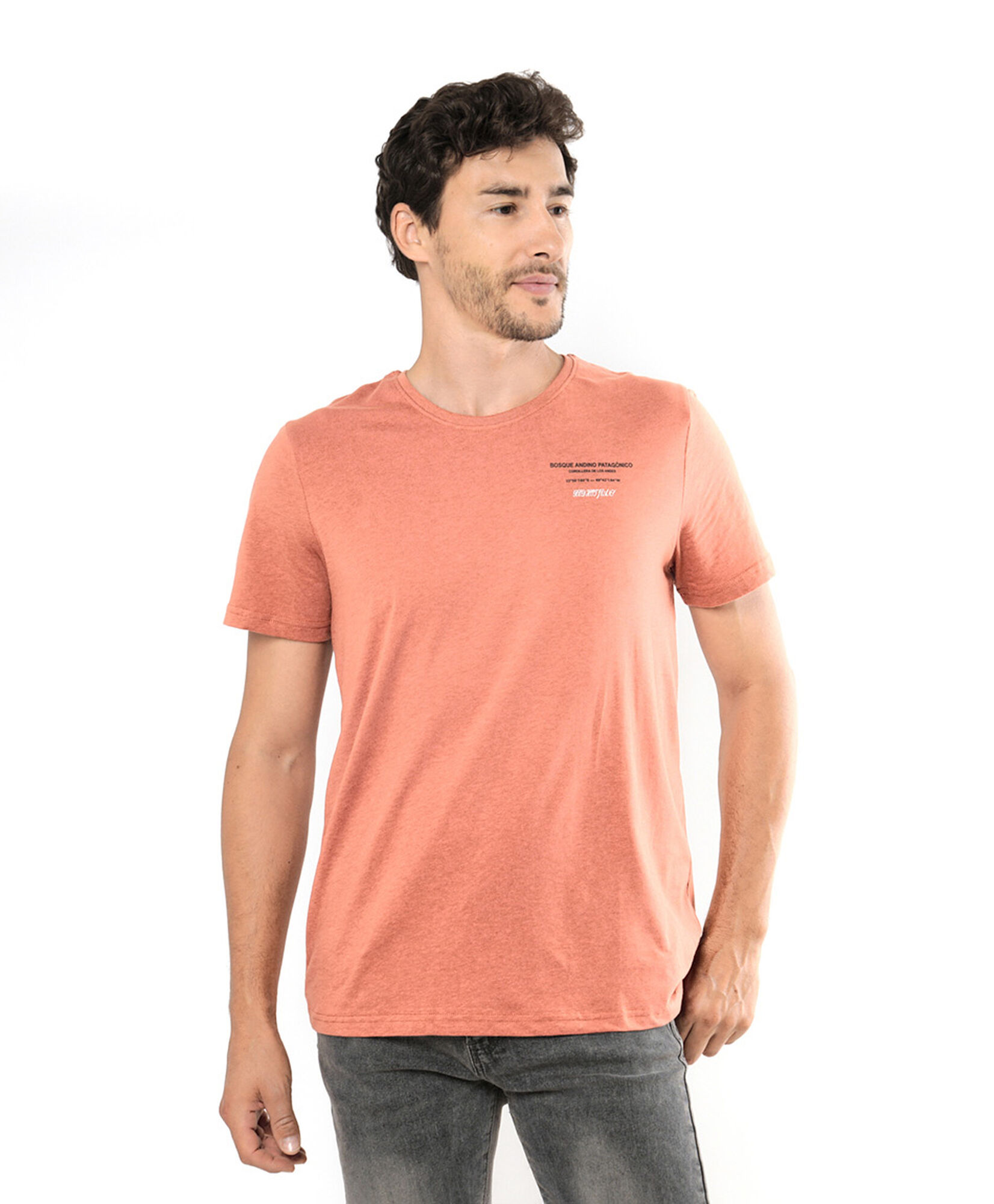 Polera hombre Ã¡rboles 